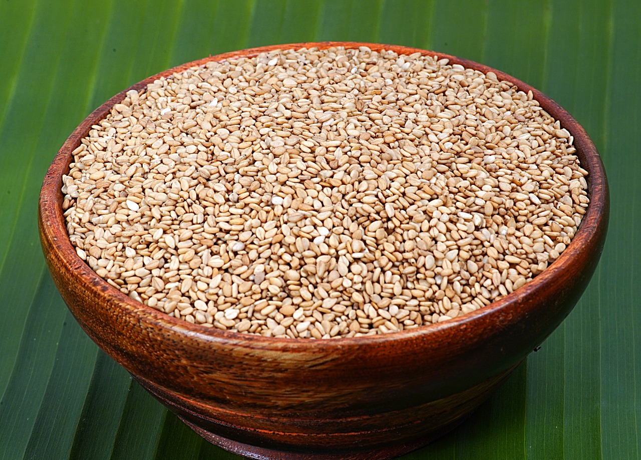 Roasted/ Toasted Sesame Seeds OSG Exim